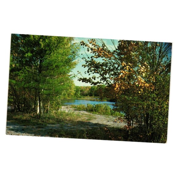 Greetings Hastings Canada Postcard Scenic Nature View Kodachrome By Ed Thatcher - Picture 1 of 2